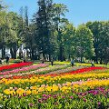 Pakruojo dvaro pavasario gėlių festivalis