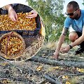 Lietuvi&scaron;kos komedijos &bdquo;Ir visi jų vyrai&ldquo; filmavimas