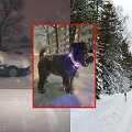 Sausio 1 d. orai ir eismo sąlygos