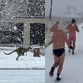 Sniegas Australijoje
