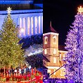 Vilniaus ir Kauno kalėdinės eglės