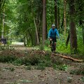 Nuvirtę medžiai Vingio parke