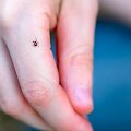 Laimo boreliozei gydyti tinkami antibakteriniai vaistai, o nuo erkinio encefalito &ndash; turime vakciną 