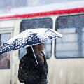 Vilniuje penktadienį gausiai sninga