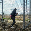 Nelegalus migrantas karpo tvorą tarp Turkijos ir Graikijos