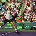Rogeris Federeris