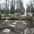 Temos iliustracija