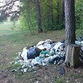 &Scaron;iuk&scaron;lių krūva Verkių regioniniame parke