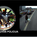 Avariją sukėlęs pėsčiasis nuėjo savais keliais