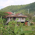 Kambodžos pipirų plantacijos