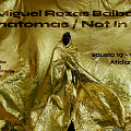 Paroda &bdquo;Nematomas / Not in Sight&ldquo;
