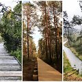 Gražiausi pažintiniai takai Lietuvoje