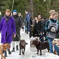 &bdquo;Labradorų žygis Labanoro girioje&ldquo;