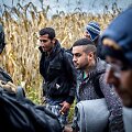 Migrantai Serbijos - Kroatijos pasienyje