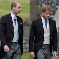 Princas Williamas, princas Harry