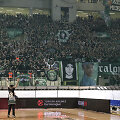 &bdquo;Panathinaikos&ldquo; sirgaliai