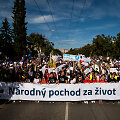 Abortų prie&scaron;ininkų protestas Slovakijoje