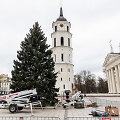 Vilniuje pradėta statyti Kalėdų eglutė
