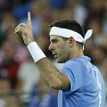 Juanas Martinas del Potro įspūdingame Daviso taurės trileryje patiesė Mariną Čiličių