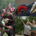 Kadrai i&scaron; filmų &bdquo;Pietinia&nbsp;Kronikas&ldquo;, &bdquo;Sesės&ldquo;, &bdquo;Sengirė&ldquo;