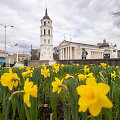 Vilnius