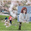 Irena Tara&scaron;kevičienė / Vilniečiai džiaugiasi sakuromis