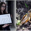 Entomologė Radvilė Markevičiūtė