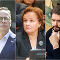Žygimantas Pavilionis, Laima Liucija Andrikienė ir Mykolas Majauskas