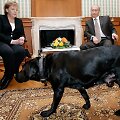 A. Merkel / DMITRY ASTAKHOV / AFP