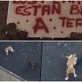 &bdquo;A komanda&ldquo; paslaptingos operacijos metu i&scaron;gelbėjo La Palmoje lavos apsuptus &scaron;unis