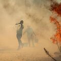 Gaisras Portugalijoje / PATRICIA DE MELO MOREIRA / AFP