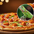 Floridos picerija pagamino picą su iguanos mėsa