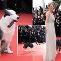 Kanų kino festivalio raudonasis kilimas