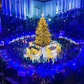 Vilniaus kalėdinė eglutė