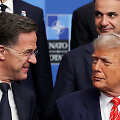 Markas Rutte, Donaldas Trumpas