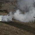 Ukrainos karys