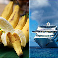 Ką kruiziniame laive rei&scaron;kia žodis &bdquo;bananas&ldquo;?