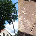 Tauragėje į medį trenkė žaibas, galėjo suple&scaron;kėti namai