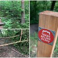 100 km trasa aplink Vilnių