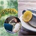 Listeria monocytogenes sukeliama infekcija ypač pavojinga nė&scaron;čiosioms ir naujagimiams