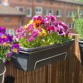 Gėlės balkone
