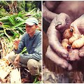 A.Morkūnas Papua saloje savaitę gyveno pas unikalią Korowai gentį