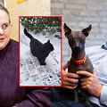 Agnė &Scaron;irinskienė, Gitanas Nausėda, katinas Nuodėgulis, &scaron;uo Grikis