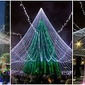 Dubajaus, Vilniaus ir Bogotos Kalėdų eglės