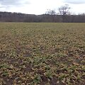 Salantų regioniniame parke sunaikinta natūrali pieva