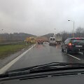 Vilkikas vykstantiems į Kauną užtvėrė kelią. 