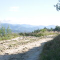 Kelyje