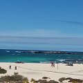 Fuerteventura