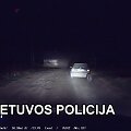 gaudynes