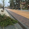 Palanga penktadienį tvarkosi audros pridarytus nuostolius
